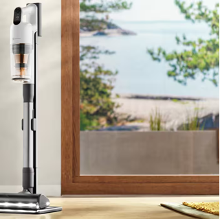 usisavac-electrolux-ep91ub21sw-allfloorpower-76950-05021014.webp