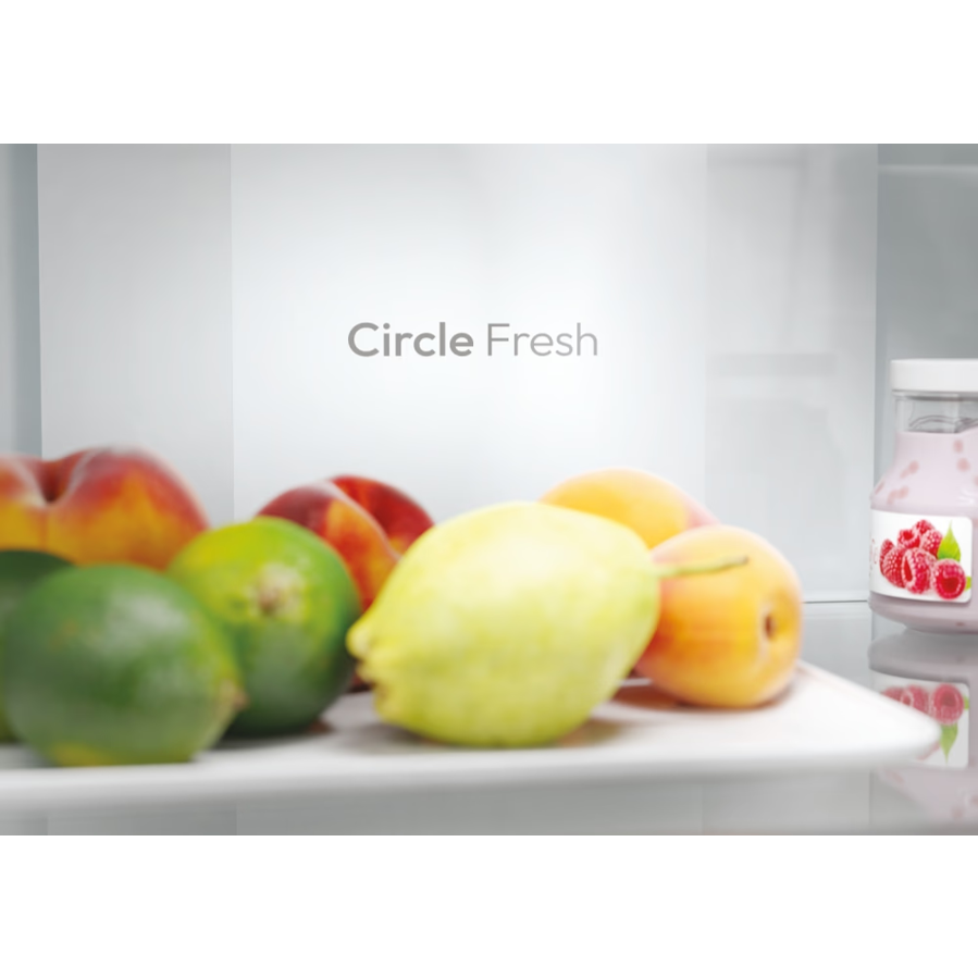 Hladnjak Candy ECN2CQTEX186