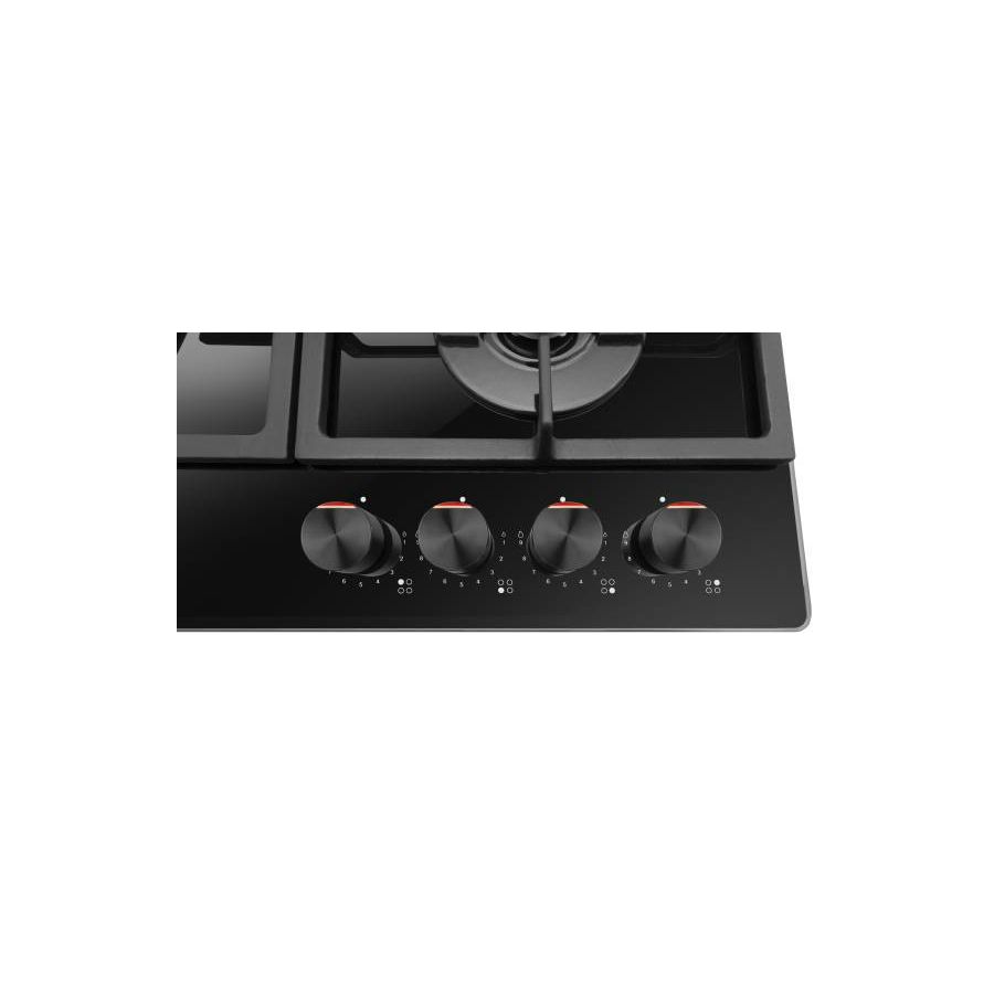 Ploča Amica DP6413LZBG