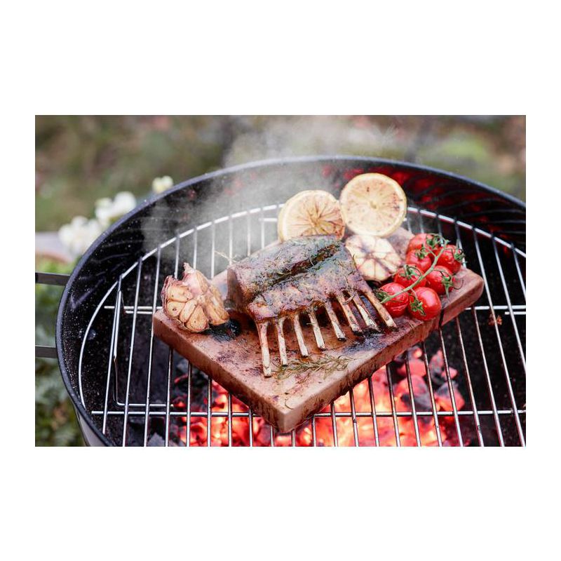 Slana ploča Electrolux E2SLT