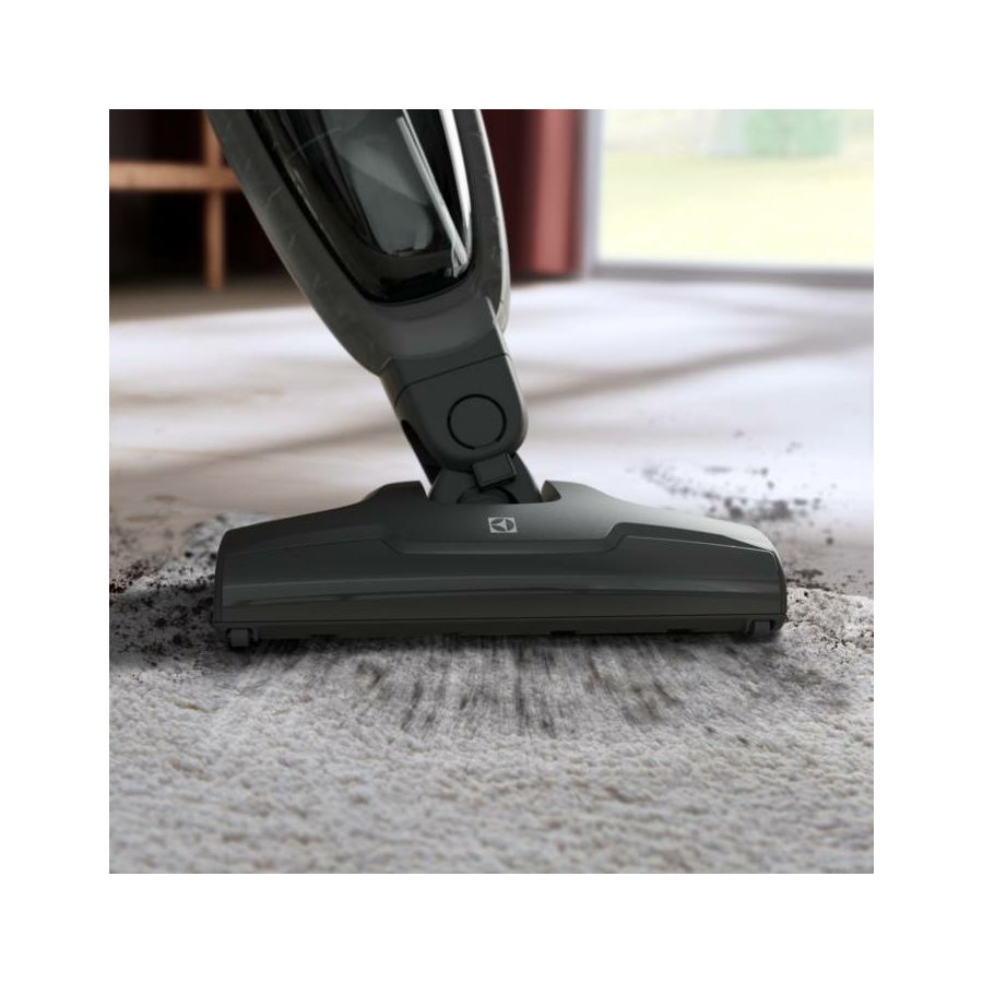 Usisavač Electrolux ES31CB18GG