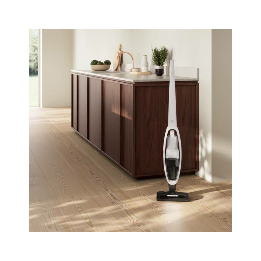 Usisavač Electrolux ES52CB18SH